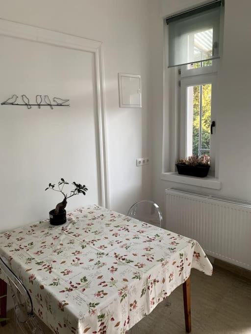 Parokia Apartman Es Coworking A Balaton Mellett Kaptalantoti Екстер'єр фото